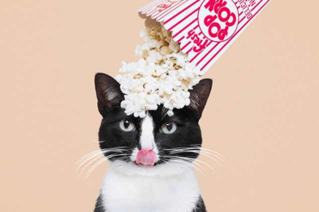 Принцесса Чито