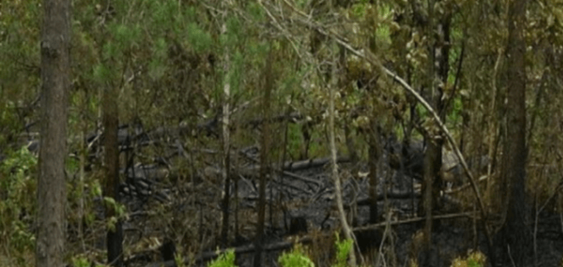 Рівненська область