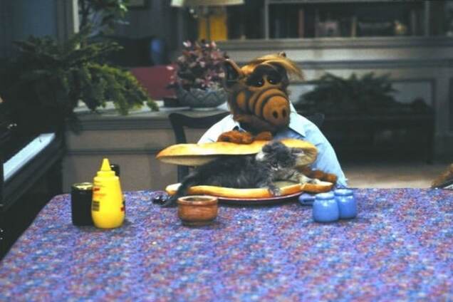 Альф приколы фото