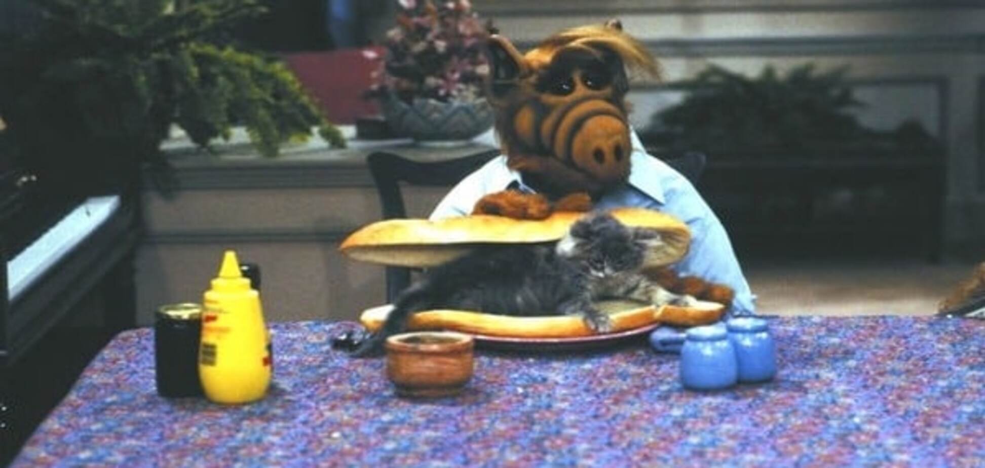 Альф приколы фото