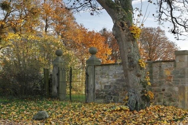 Игра на внимательность: модели боди-арта 'закамуфлированные' под природу