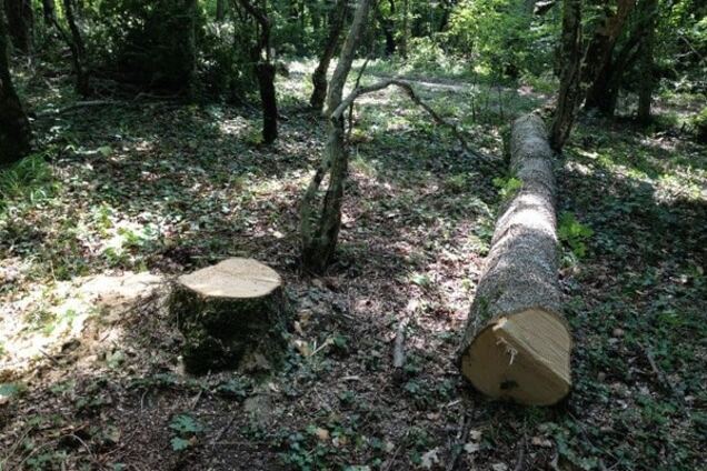 урочище Ласпи