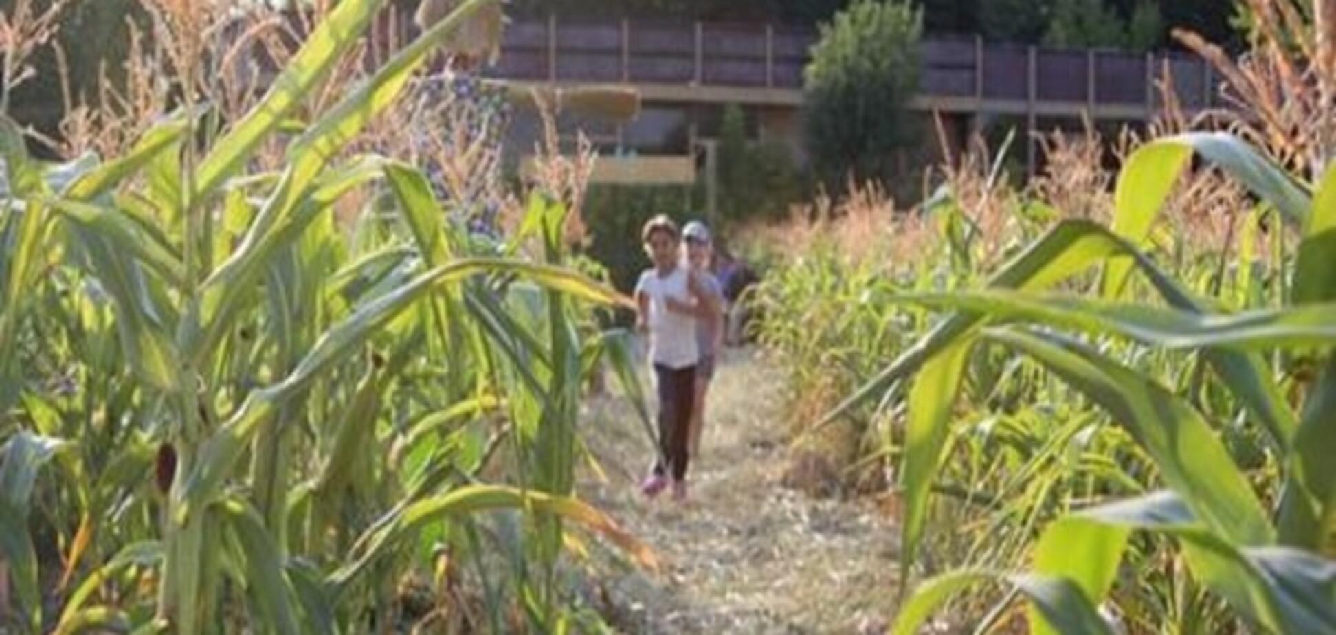 Внутрішні переселенці в Україні - нові можливості, або Лабіринт з кукурудзи