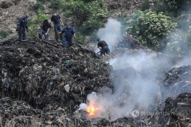 свалка львов