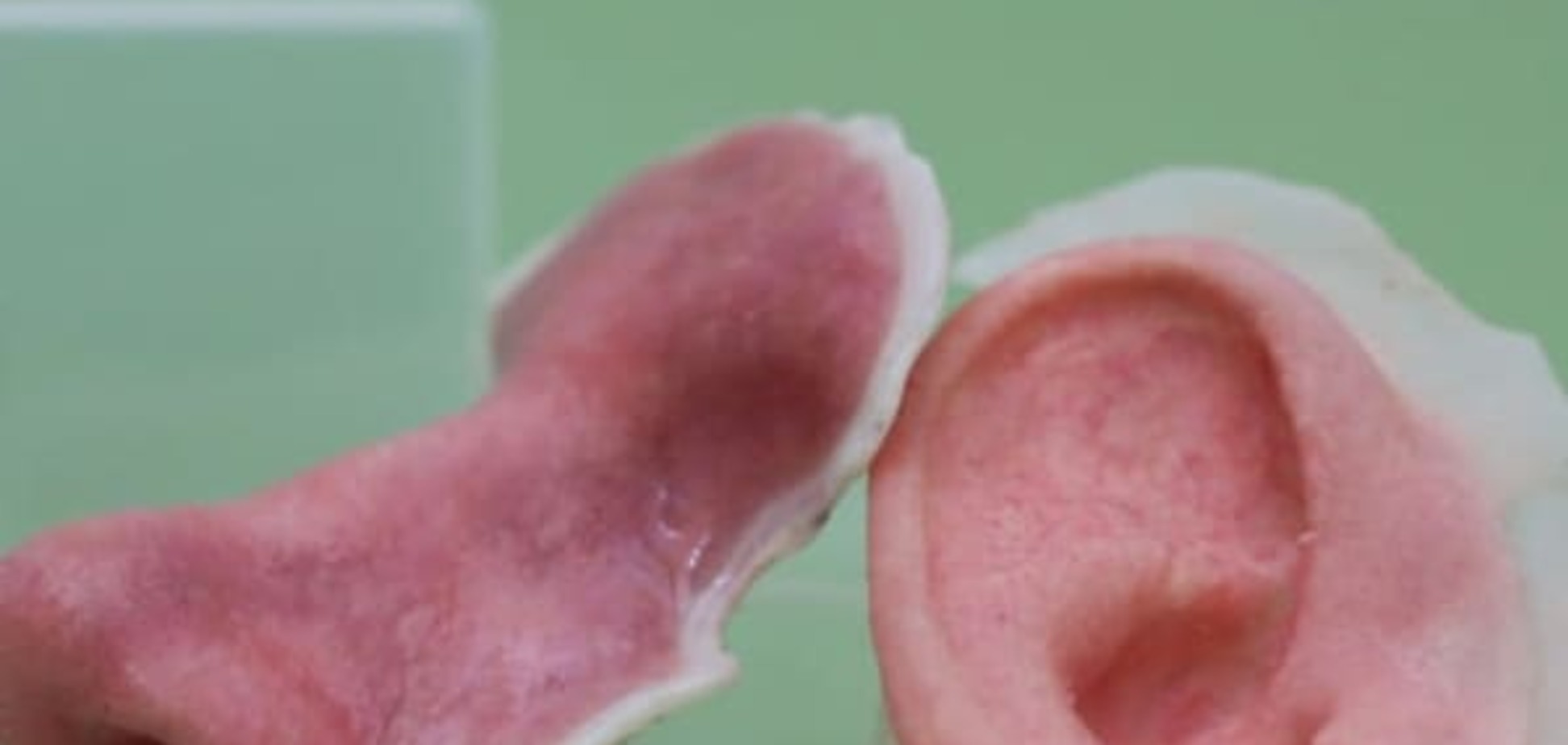 3D-печать органов прошла испытания в условиях микрогравитации. Видео