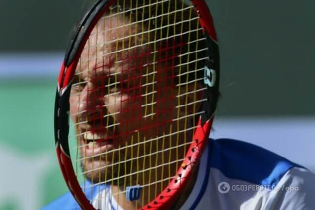 Александр Долгополов