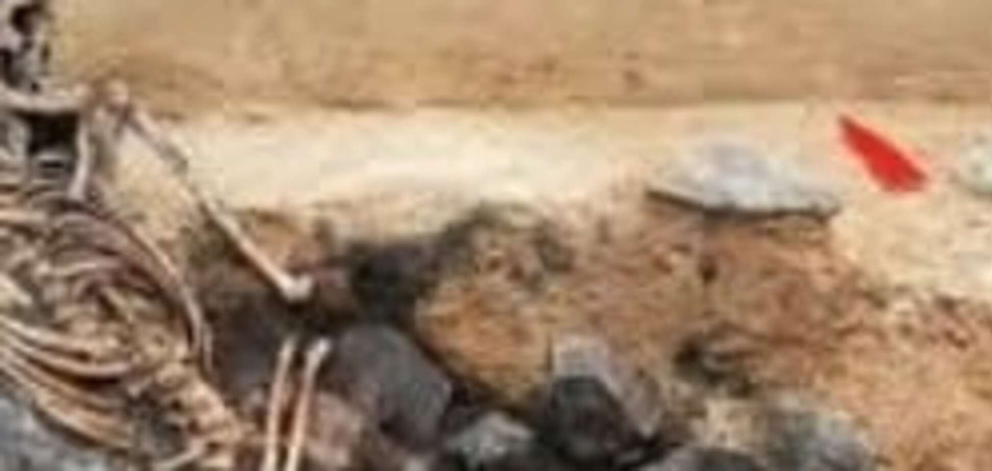На Тернопільщині біля замку знайшли людські останки