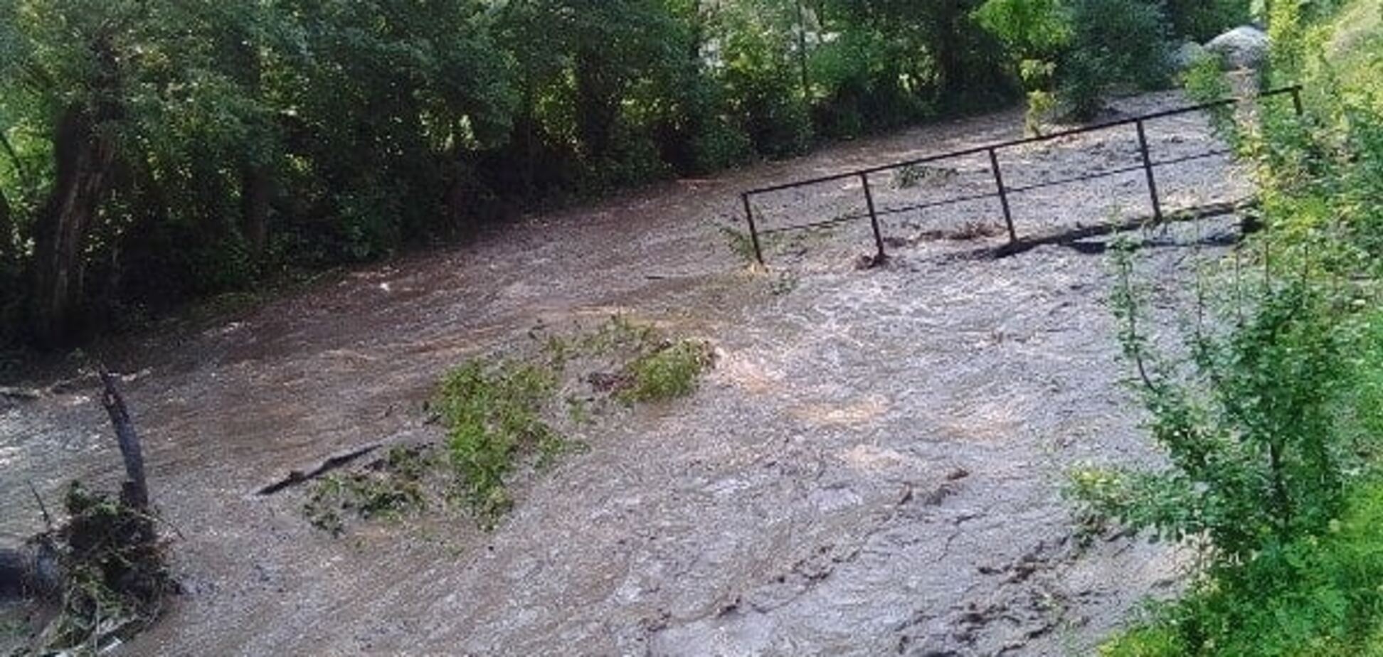 Збільшилась у 10 разів: на Тернопільщині річка затопила село. Фото