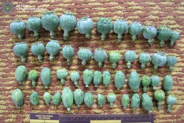 Піймали на гарячому: на Рівненщині чоловік зберігав наркотики на орендованій квартирі