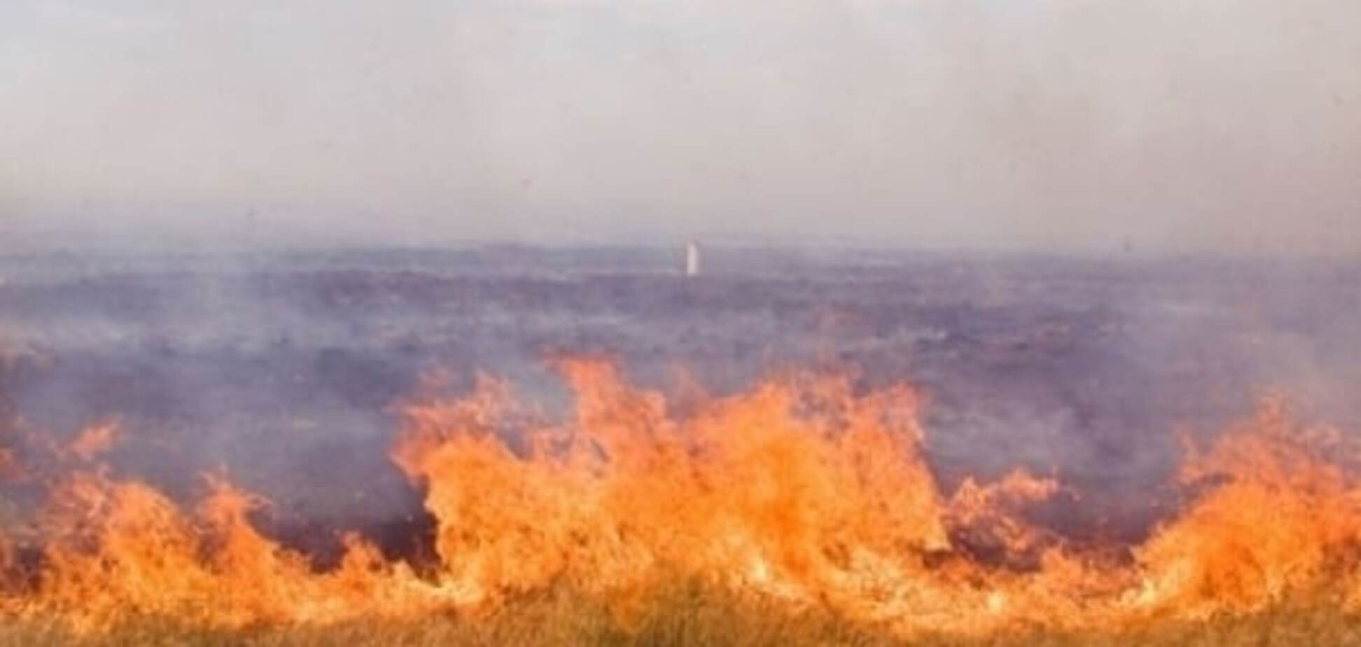 Осторожно, жара: в Одессе объявлен максимальный уровень пожарной опасности