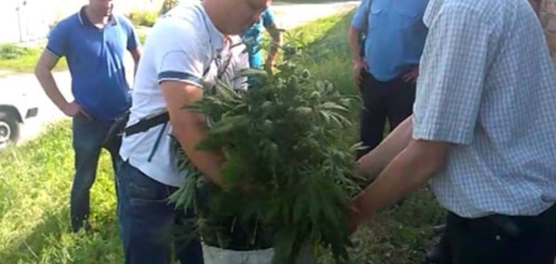 Гаражная 'плантация': на Харьковщине правоохранители задержали мужчину за выращивание конопли. Фото