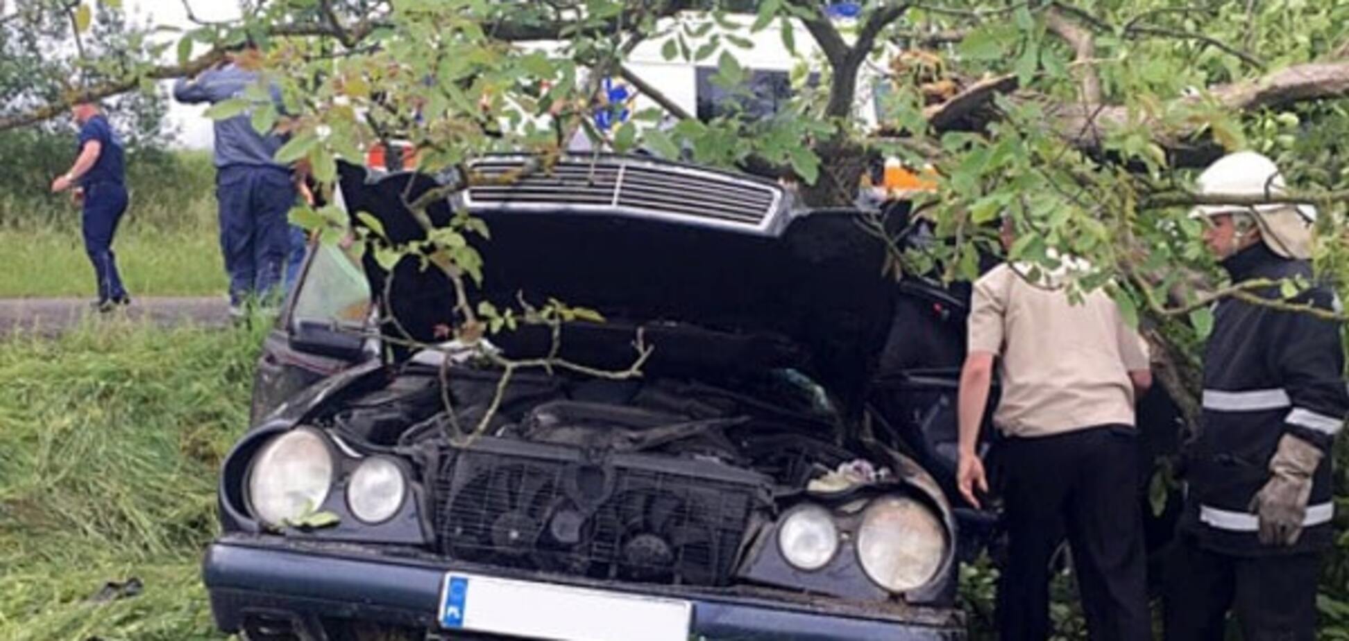 На Закарпатті авто 'залетіло' на дерево: водій загинув, троє травмовані, один пасажир втік. Фото