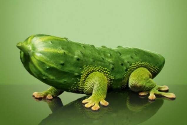 Ради планеты: более ста нобелевских лауреатов выступили в защиту ГМО