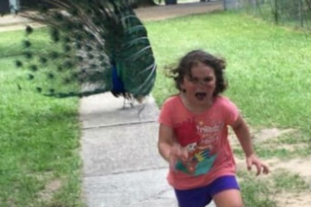 Пугливая девочка