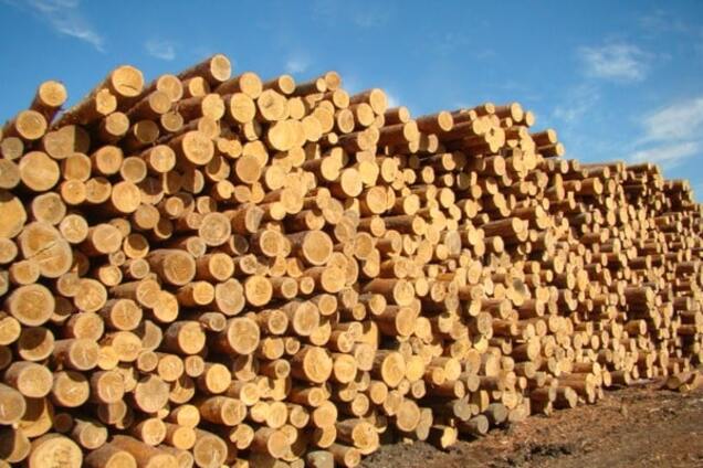 Ми європейці, а не папуаси!