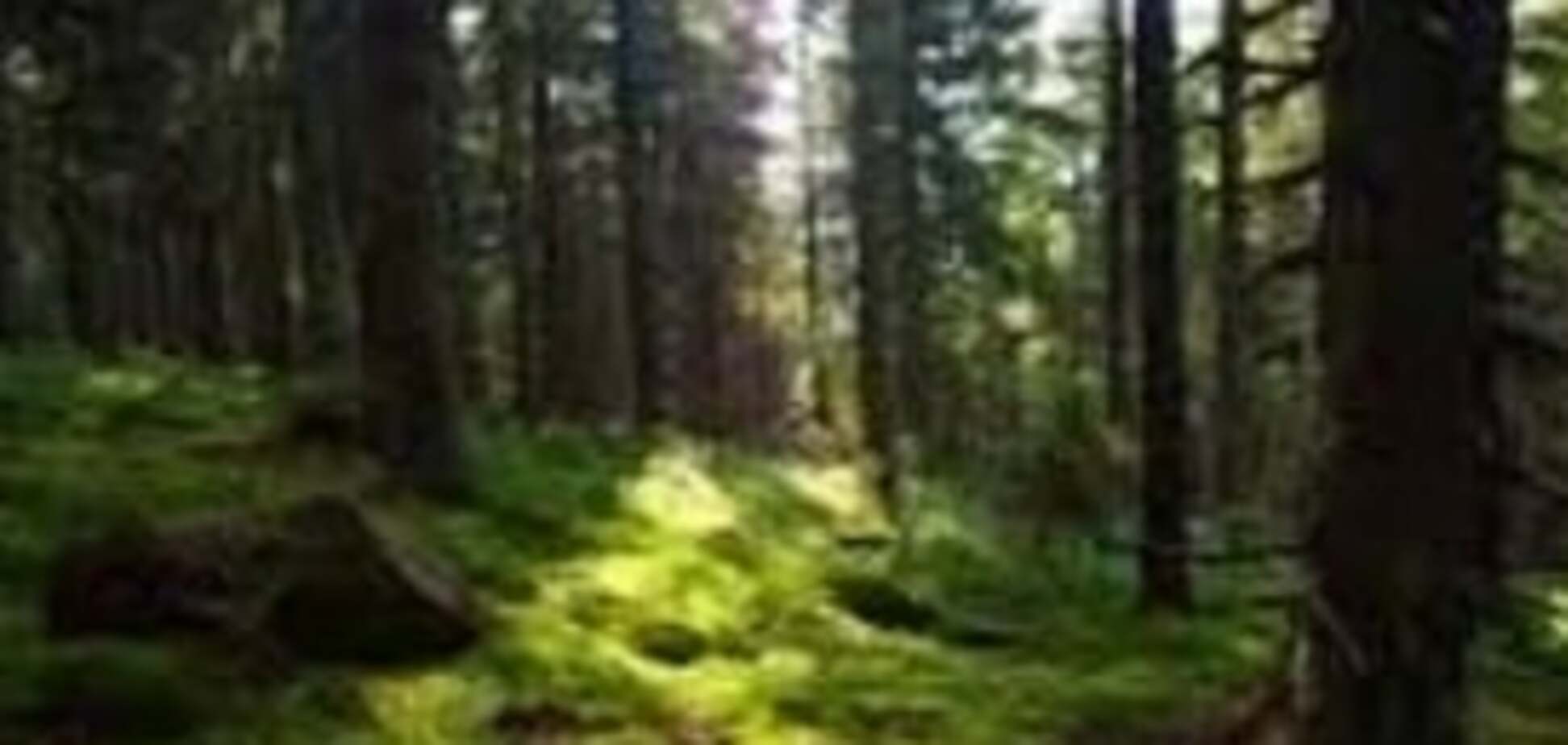Закарпатський 'Беар Гріллс': дідусь три дні блукав лісом