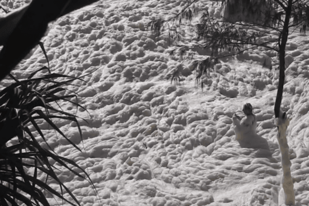 Побережье Австралии