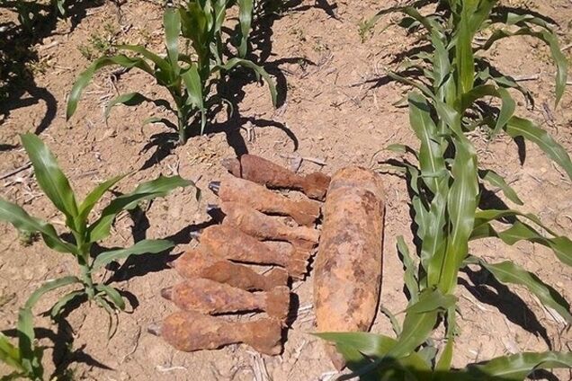 Небезпечна знахідка: на Закарпатті в кукурудзі знайшли 9 снарядів. Фото