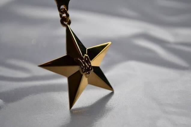 Герой Украины медаль