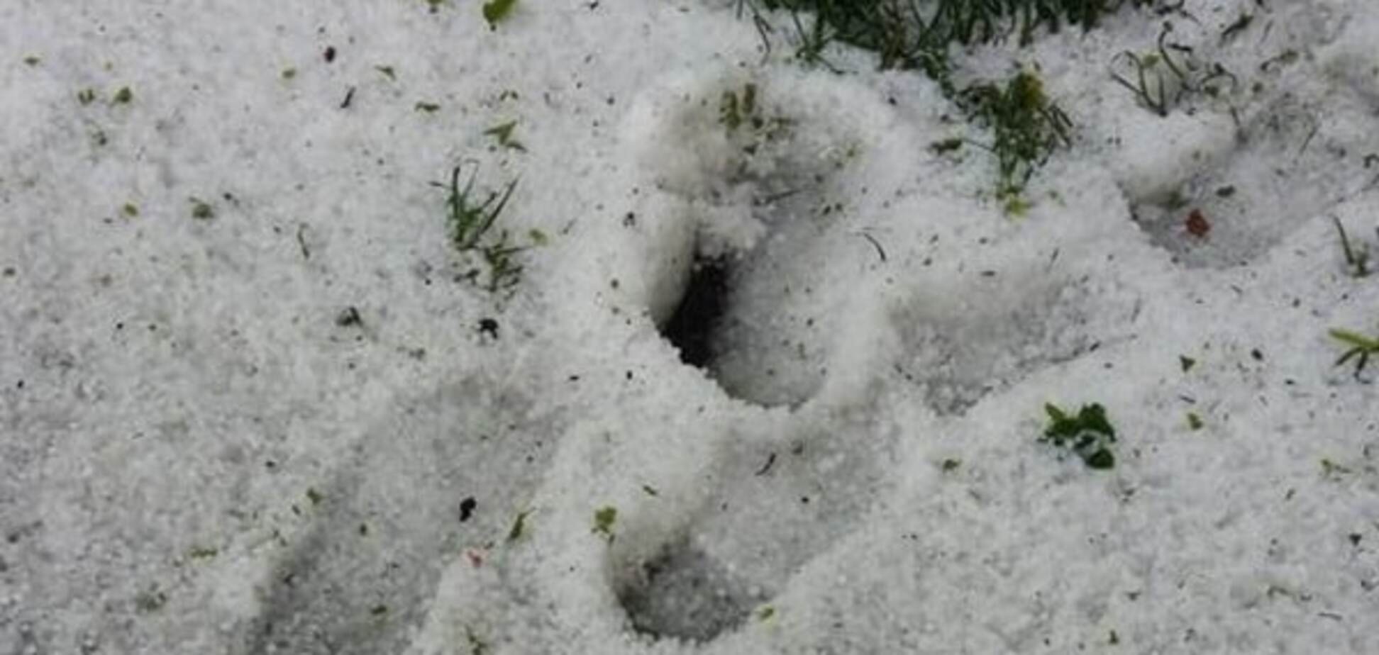 Сніг в Луцьку