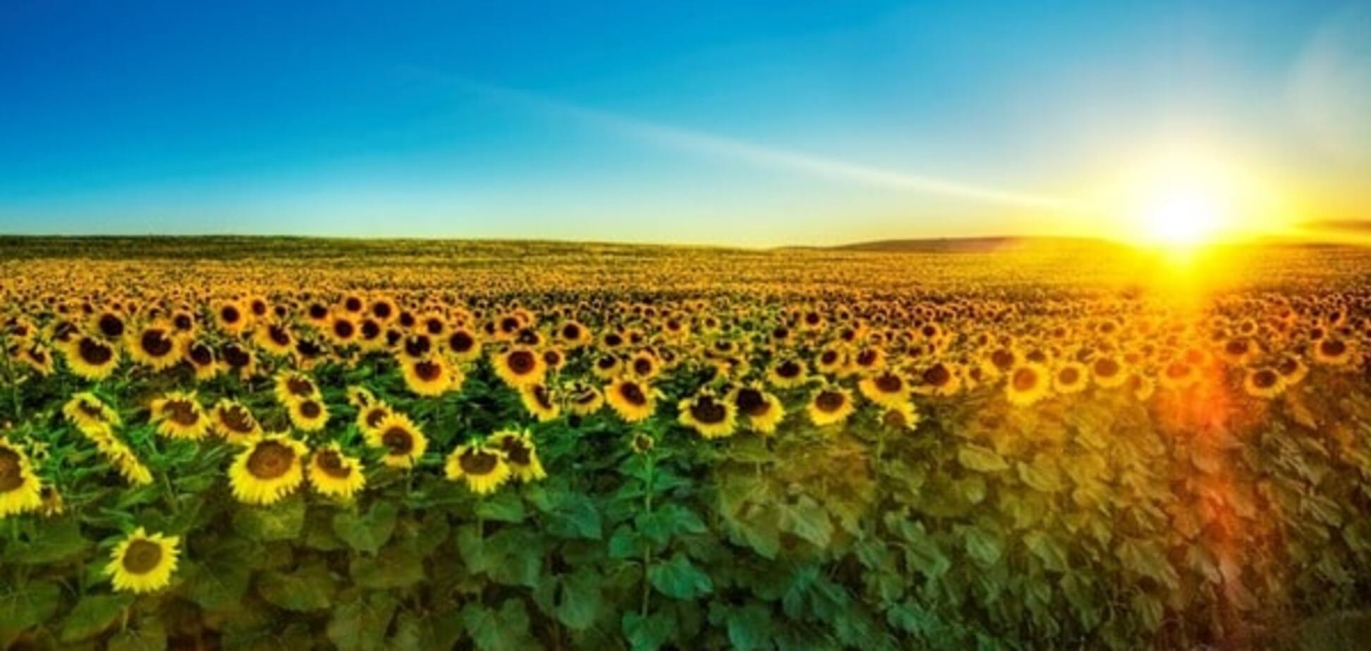 Так рождается Украина