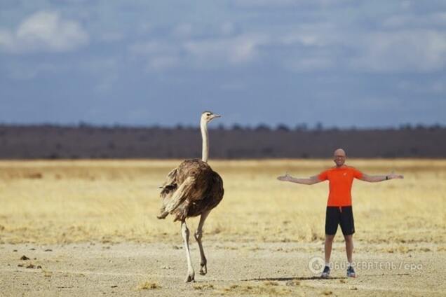 Премия Страуса