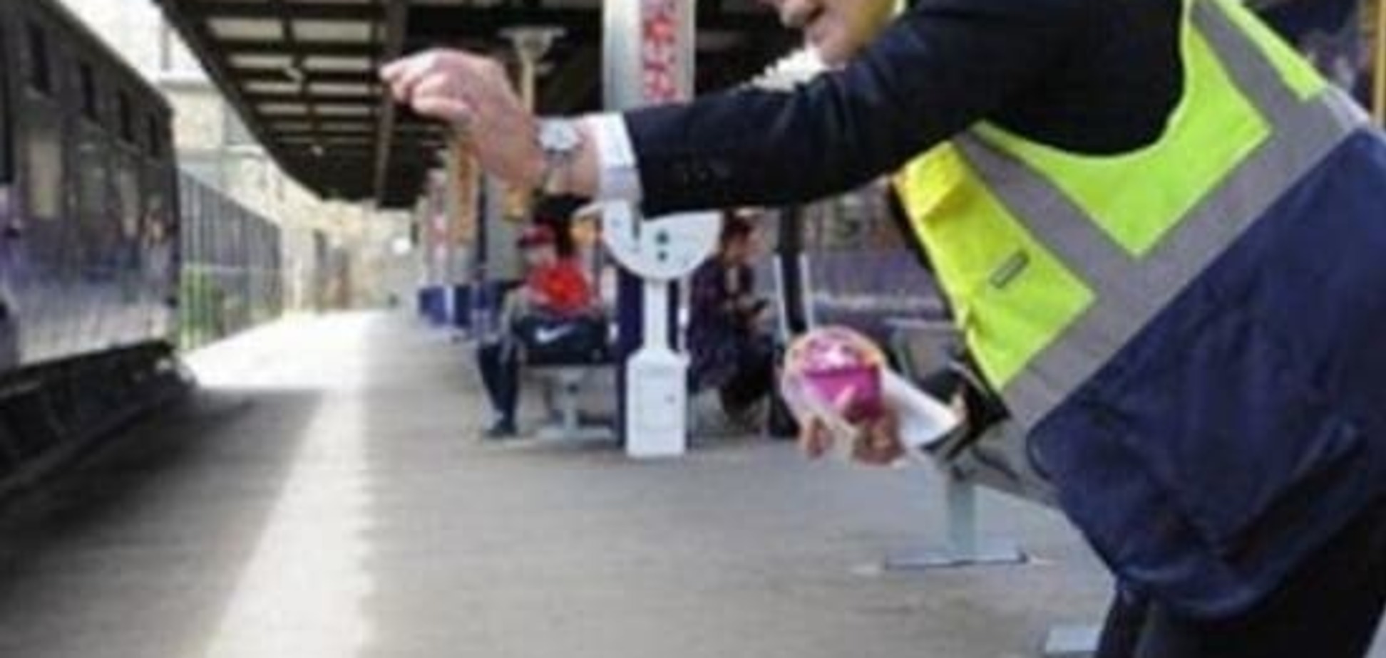 В Британии кошка стала старшим контролером вокзала. Фото