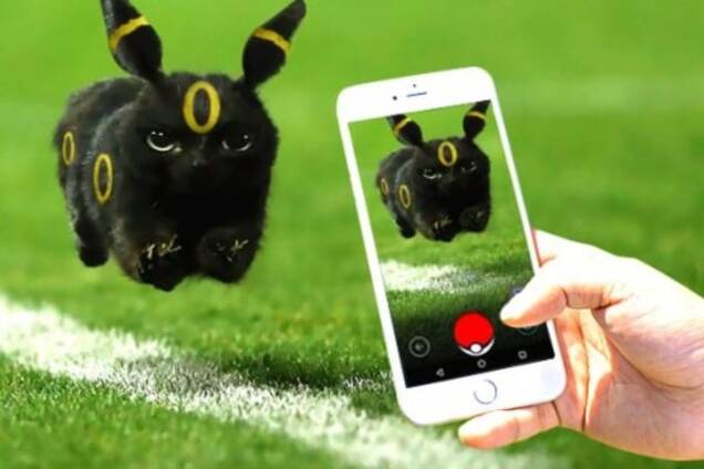 Покемон для Путина: в России кот на футбольном поле стал новым мэмом