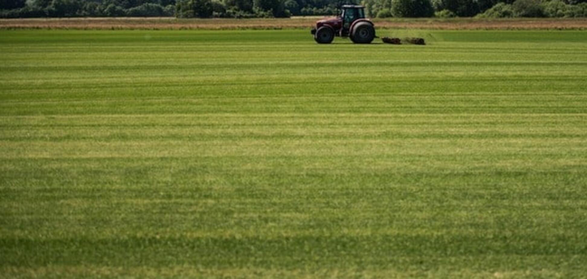 Тіньові надприбутки та порожні обіцянки: чому продовжують мораторій на продаж землі