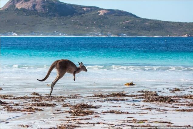 Лаки Бэй, Австралия