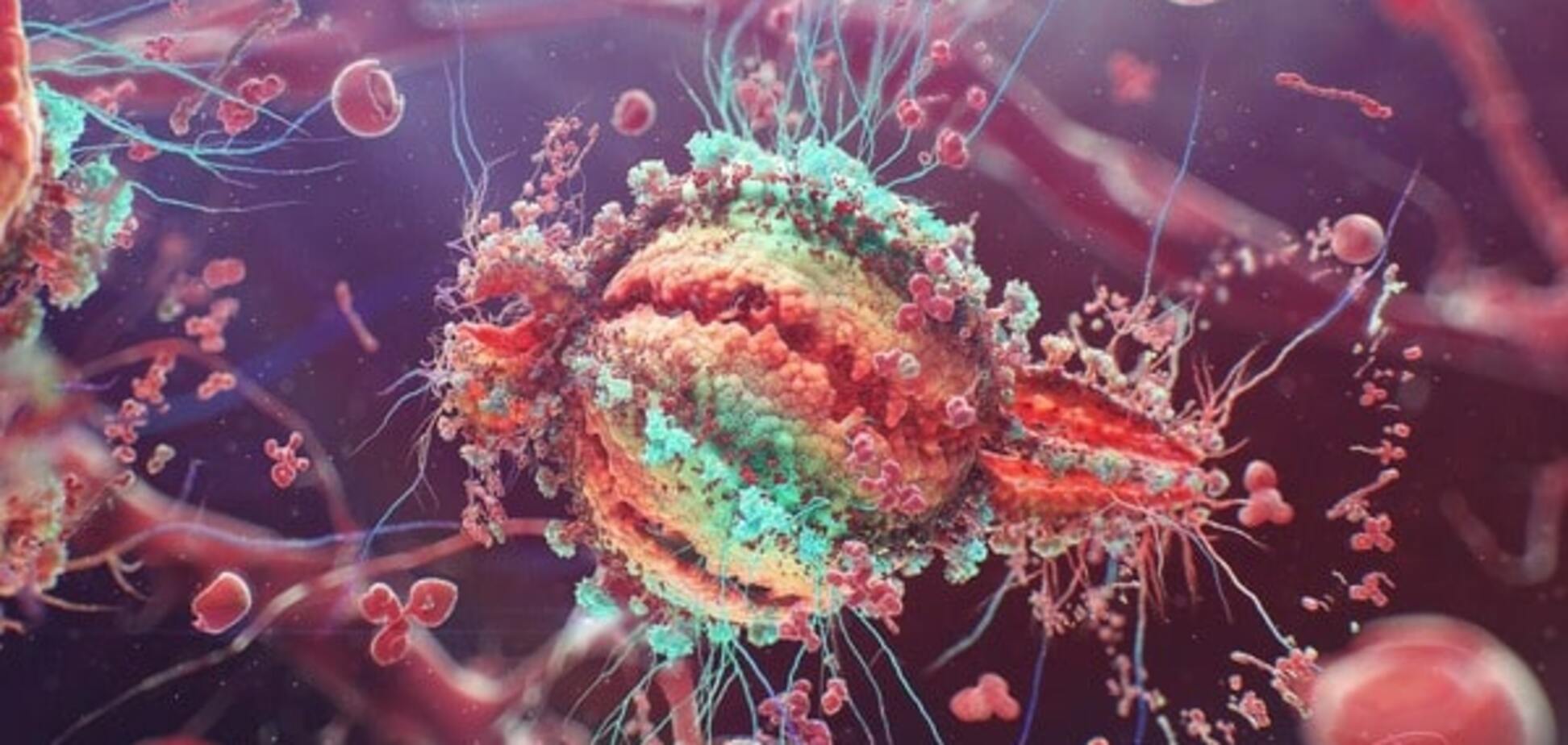 Ученые обнаружили клетки, которые помогут избавиться от ВИЧ