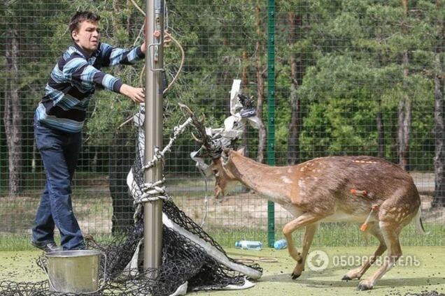 Команда спасения животных в Киеве