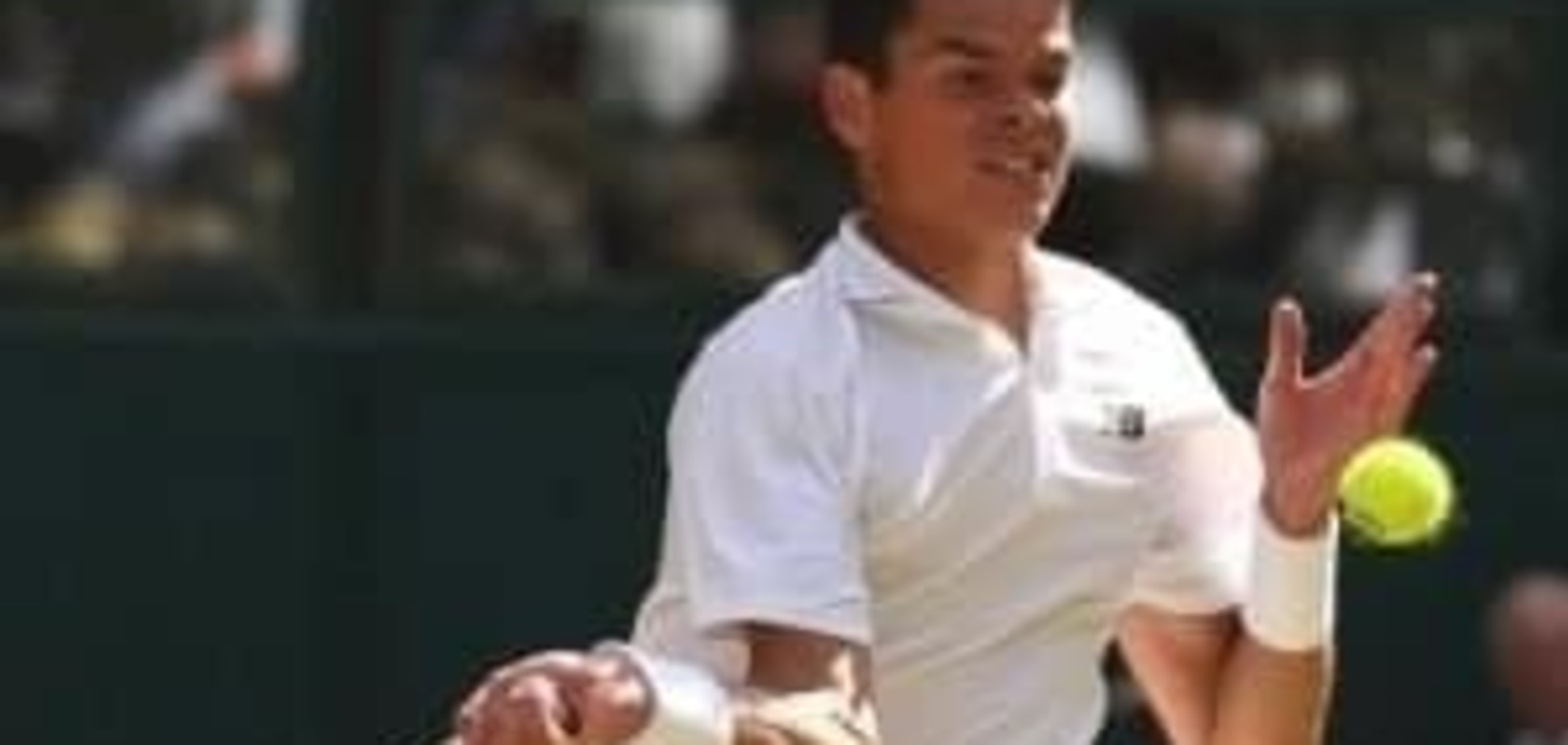 Финалист Уимблдона отказался от Олимпиады из-за вируса Зика