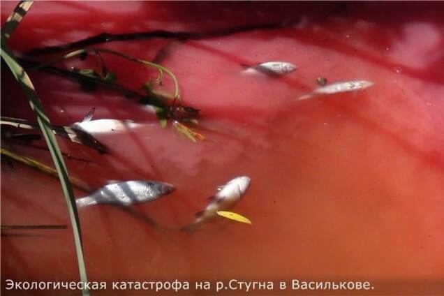 река Стугна