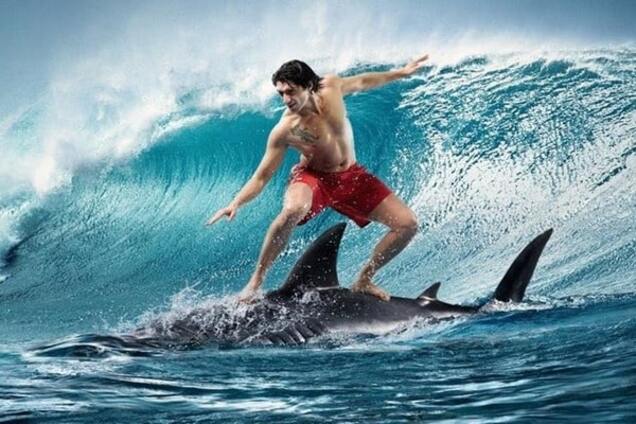 Мужчина верхом на дельфине