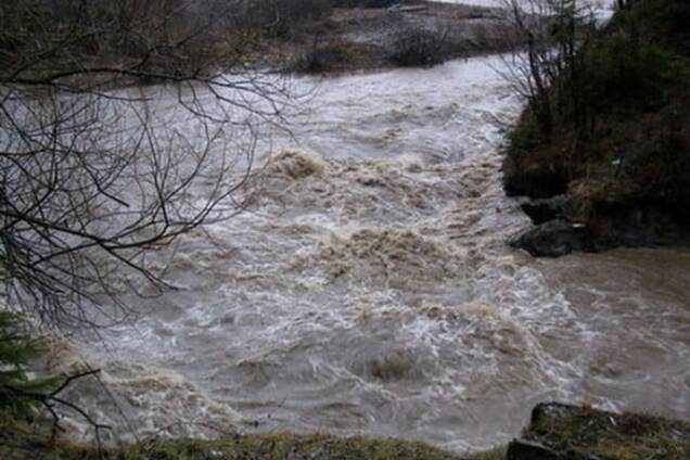 'Возросла амплитуда': эколог дал прогноз на климатическое будущее Украины