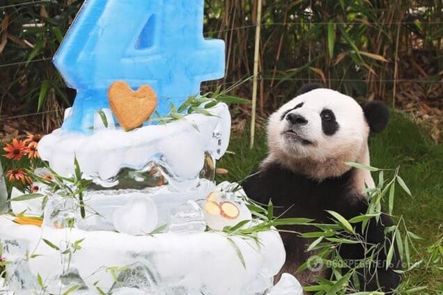 International Cake Day