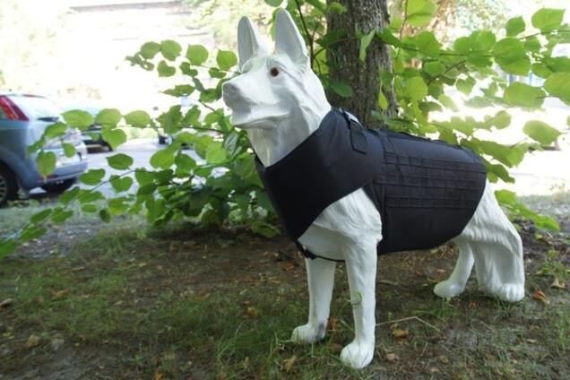 Защита для собак