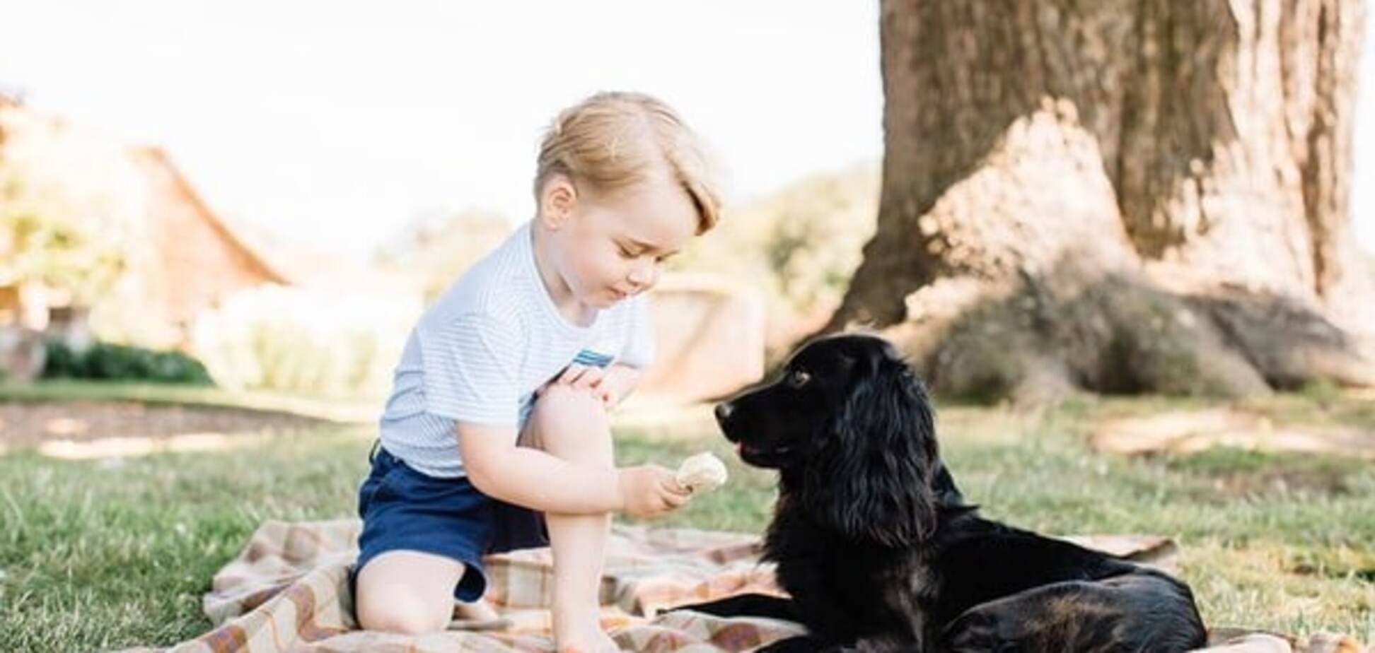 Именинник дня: 3-х летний принц Джордж с собакой снялся в милой фотосессии