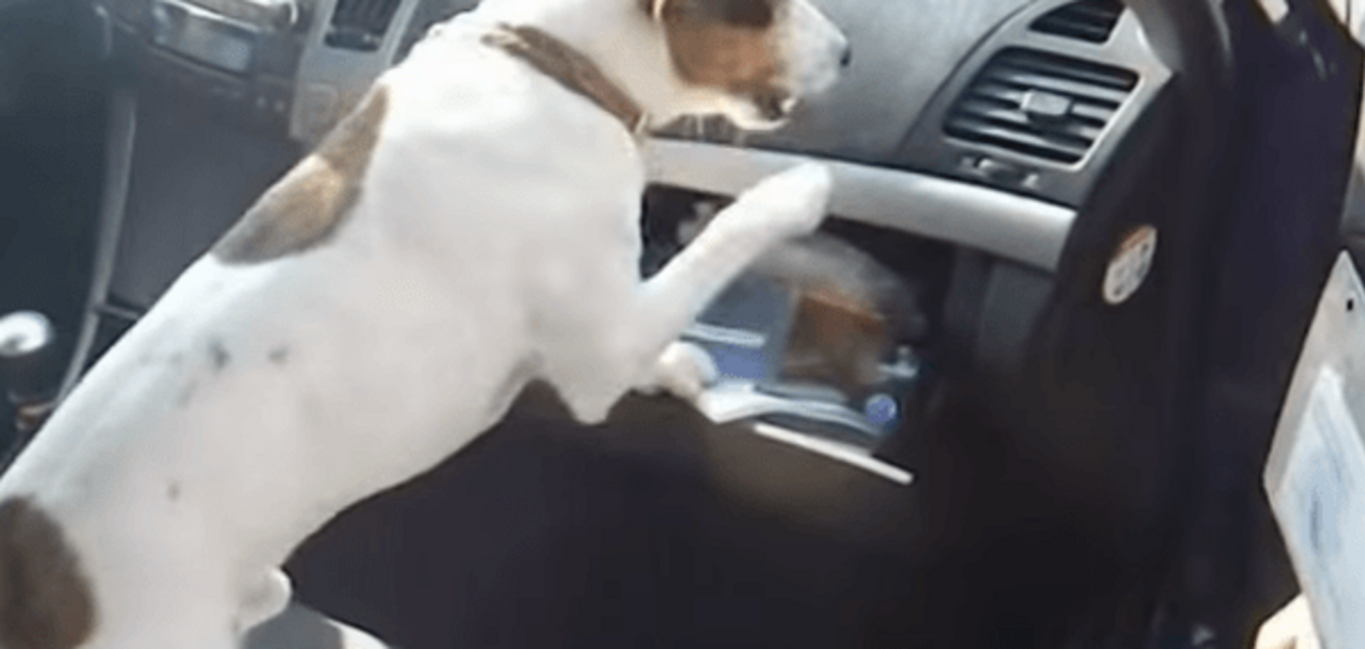 Крим межа прикордонники