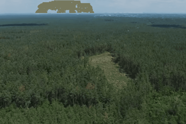 Артем Пшонка, Сергей Арбузов, земля