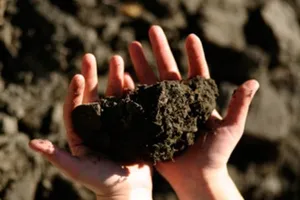 Мораторій на продаж землі