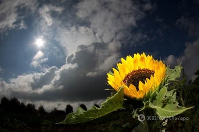 Погода в Украине