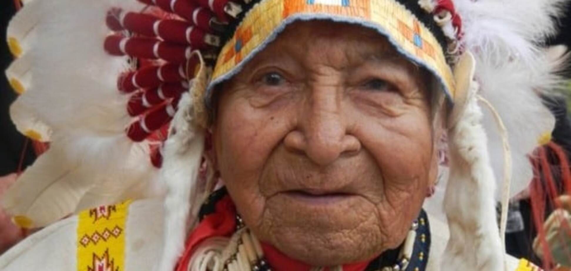 Дэвид Красивый Белоголовый Орлан