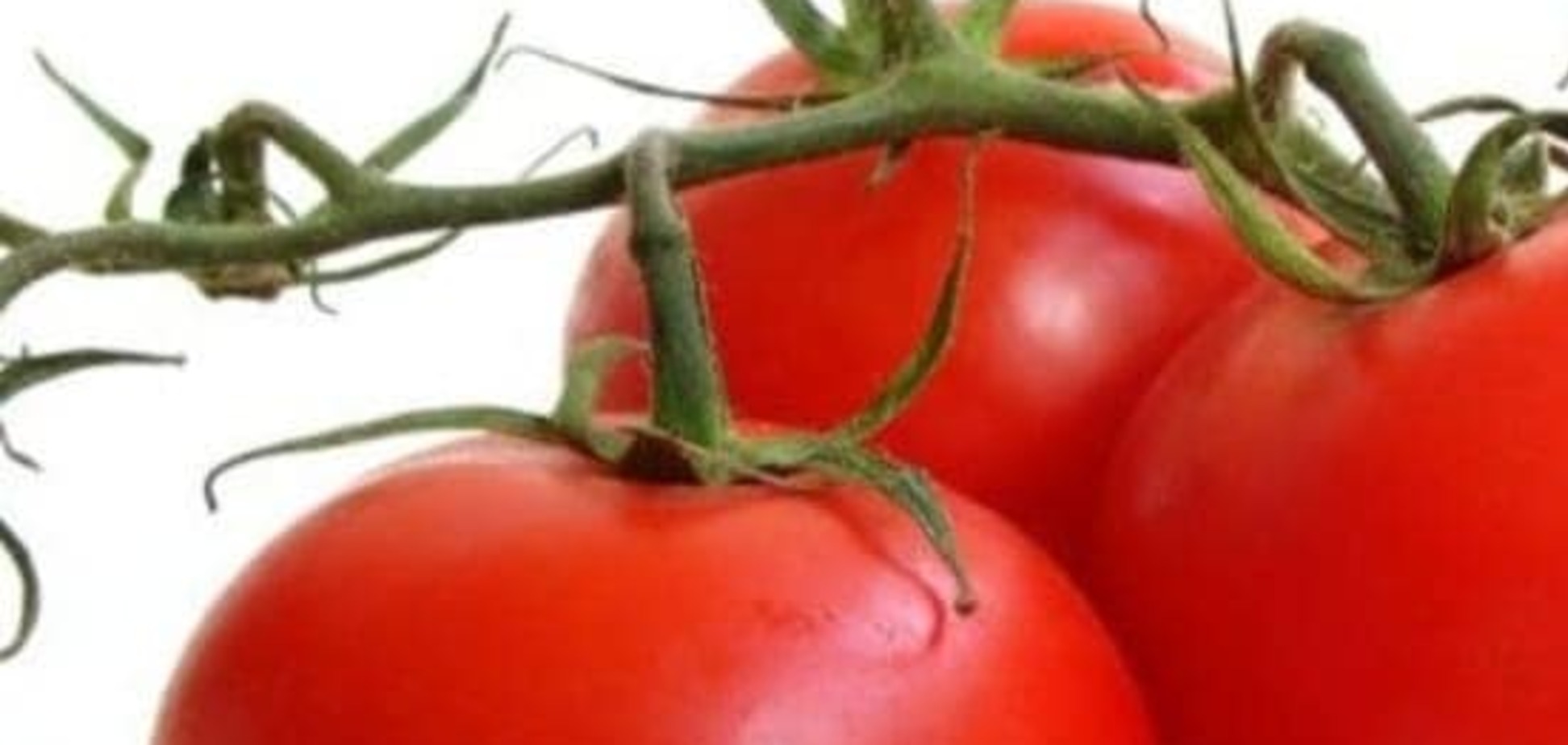 Генетики нашли способ, как хранить помидоры дольше