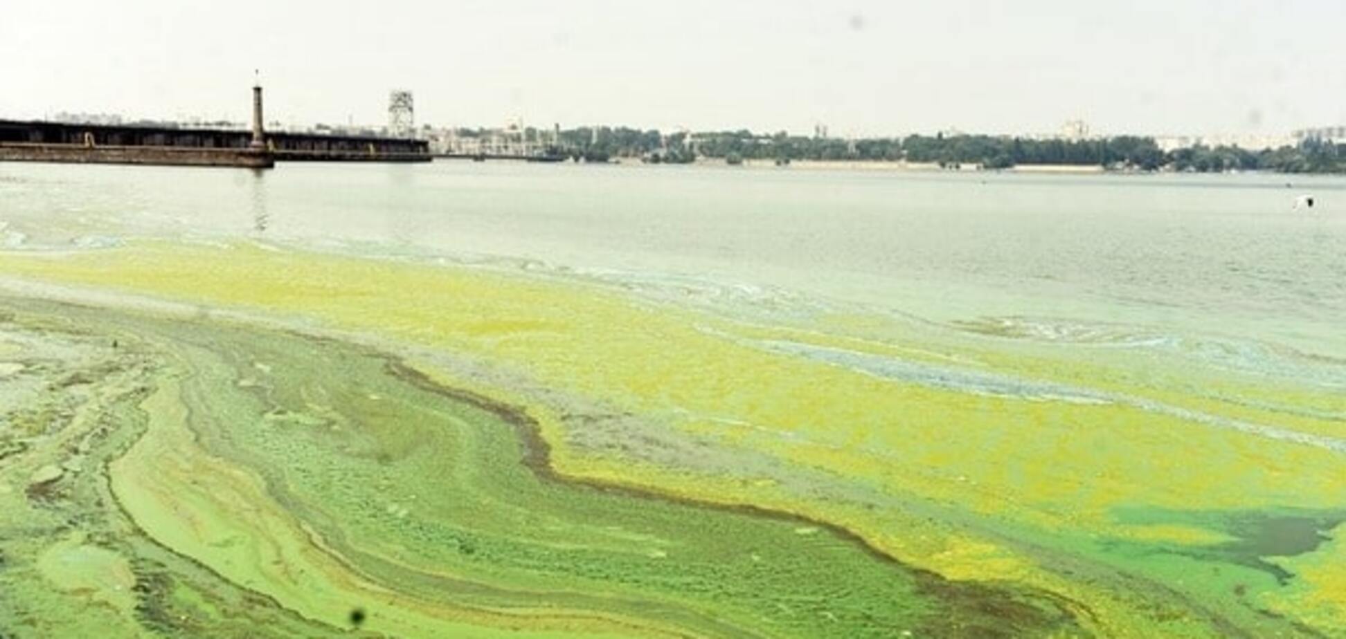 Цвітіння води в Україні