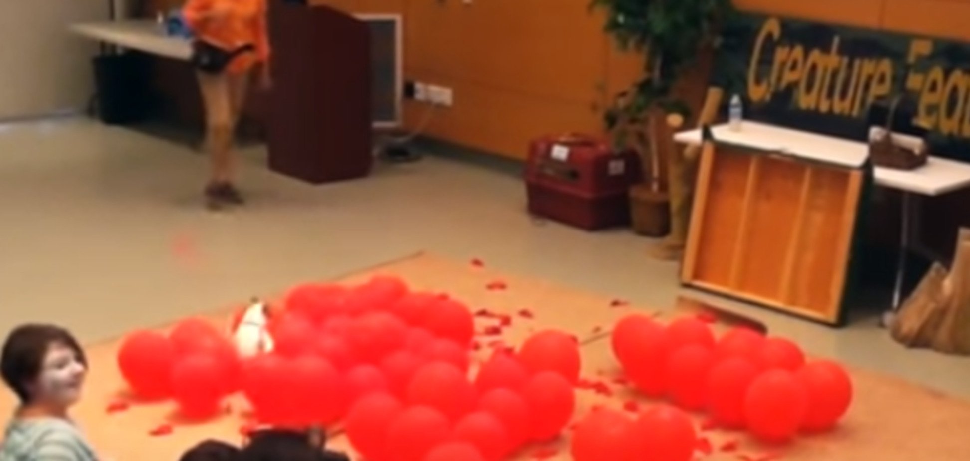 Собачка і кульки