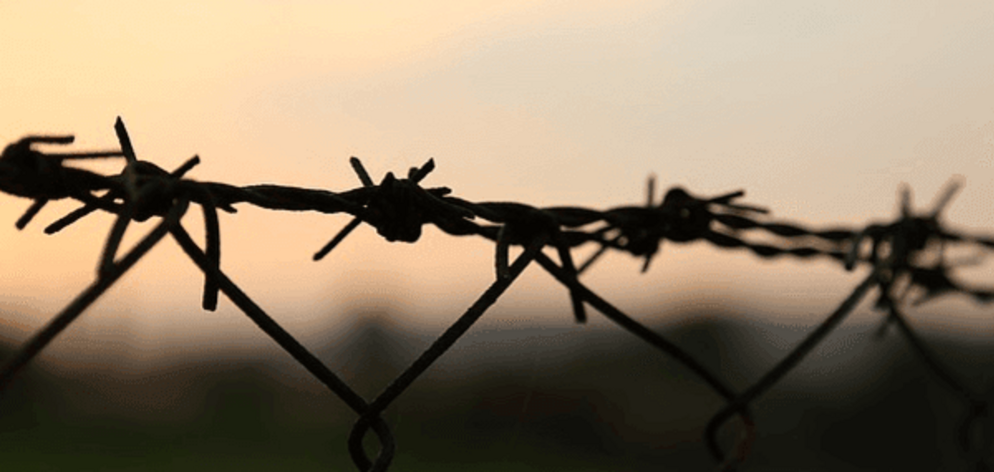 Проект стена