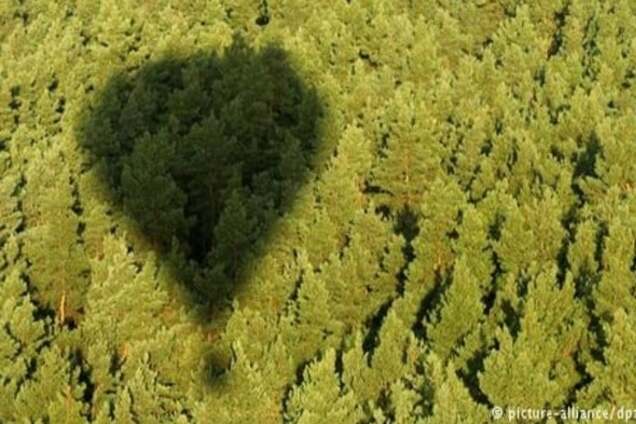 У Техасі загорілася і впала повітряна куля: усі пасажири, імовірно, загинули