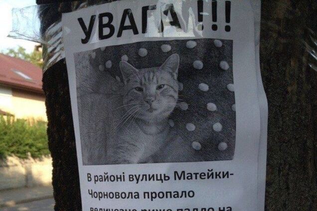 Объявление